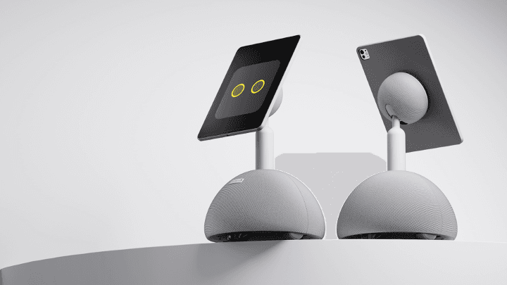 Bene finds you in the kitchen